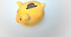 Sparschwein_Benaudira